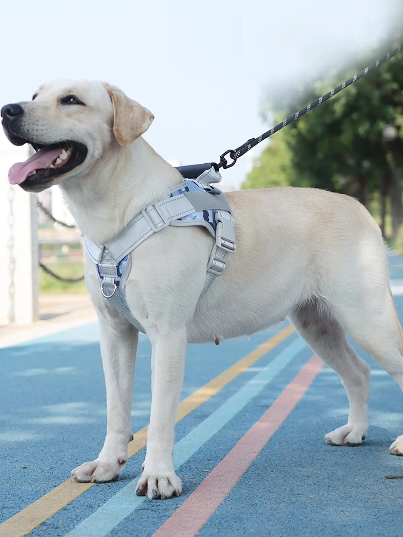 1pc Geometric Pattern Pet Harness