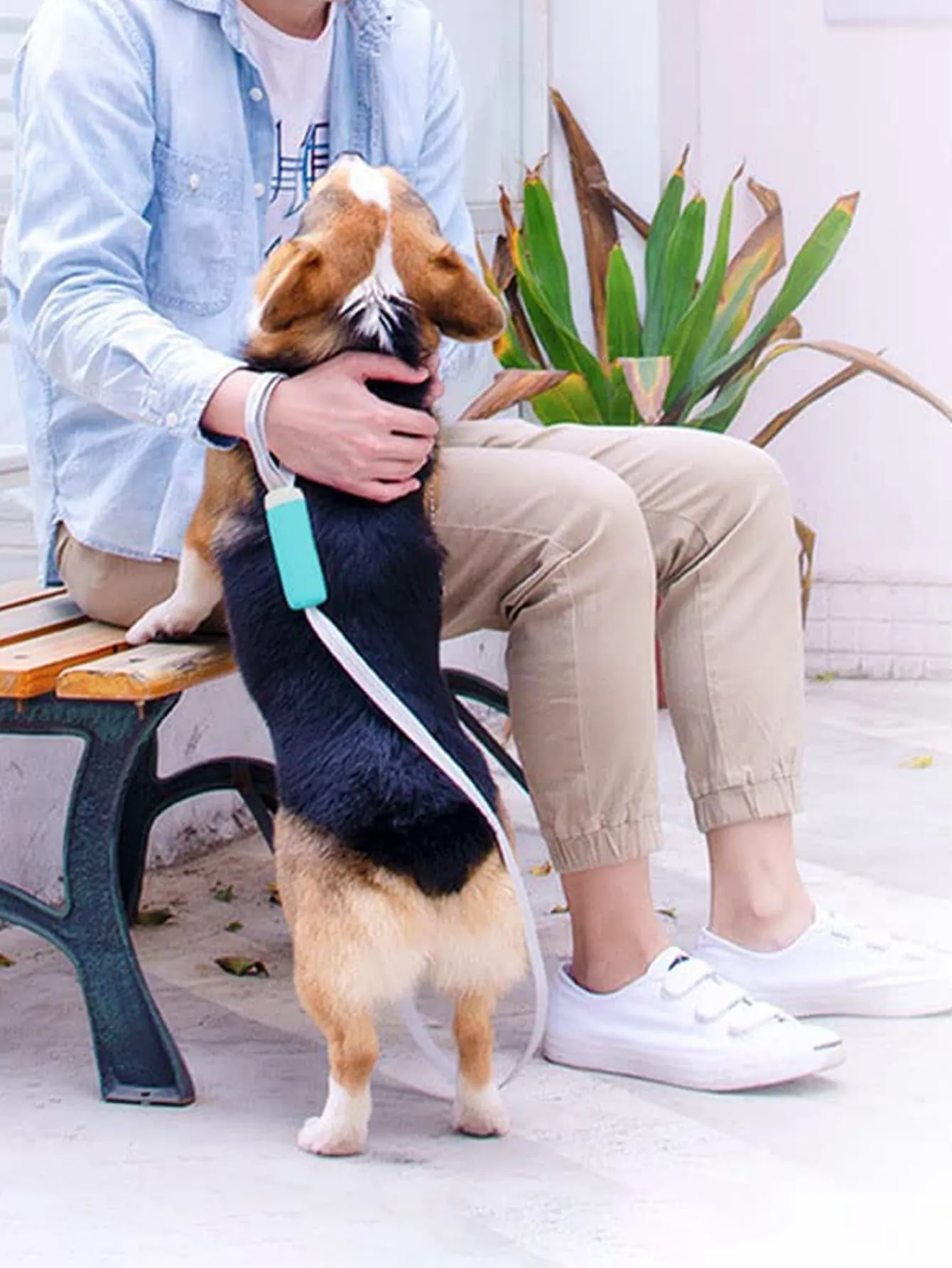 1pc Paw Print Pet Leash