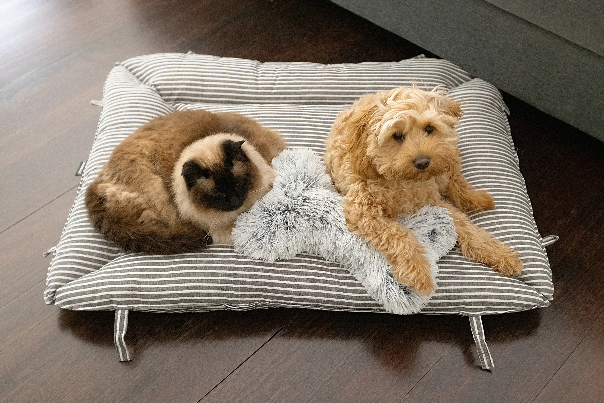 2-in-1 Hamptons Travel Bed