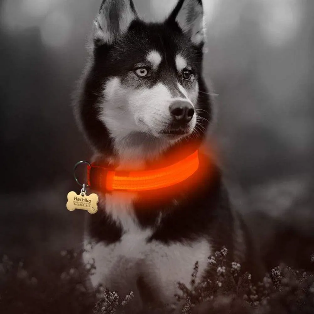 2 PCS Set Nylon LED Dog Collar | PetPals®