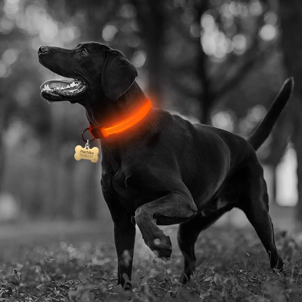 2 PCS Set Nylon LED Dog Collar | PetPals®