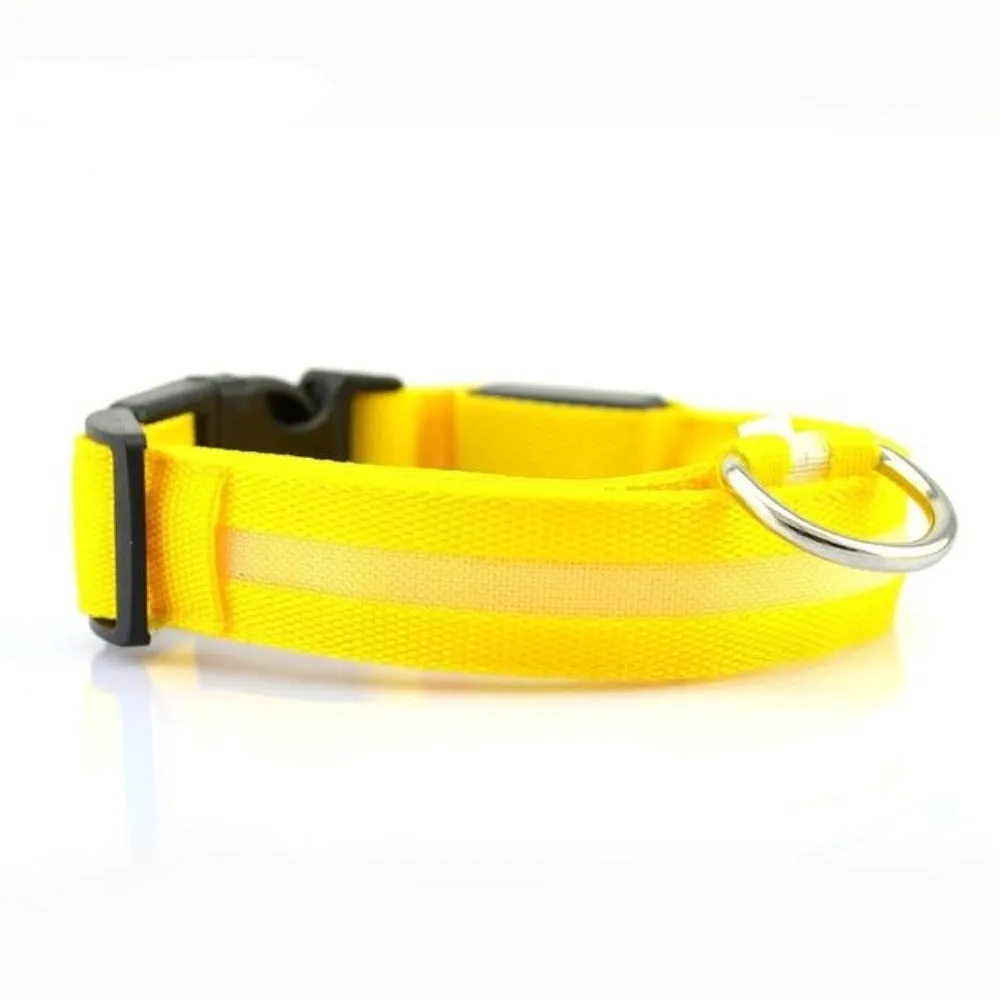 2 PCS Set Nylon LED Dog Collar | PetPals®