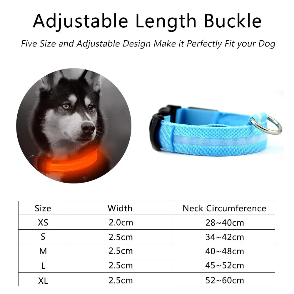 2 PCS Set Nylon LED Dog Collar | PetPals®