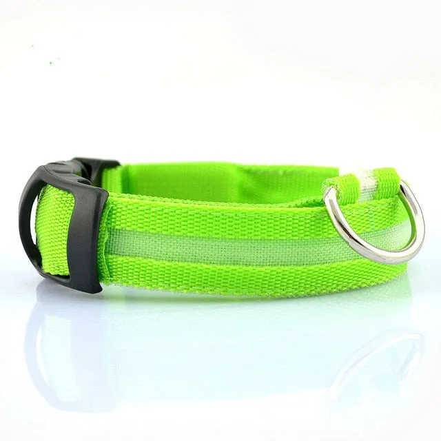 2 PCS Set Nylon LED Dog Collar | PetPals®