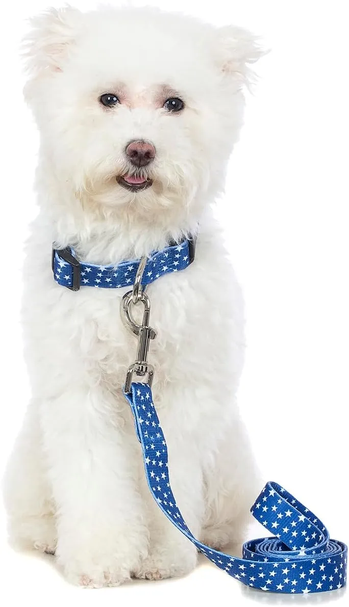 2PCS Dog 4th of July Collars and Funny Leash Set Pet Gift Adjustable Dogs American Flag Collars for Small to Large Pets (X-Large)