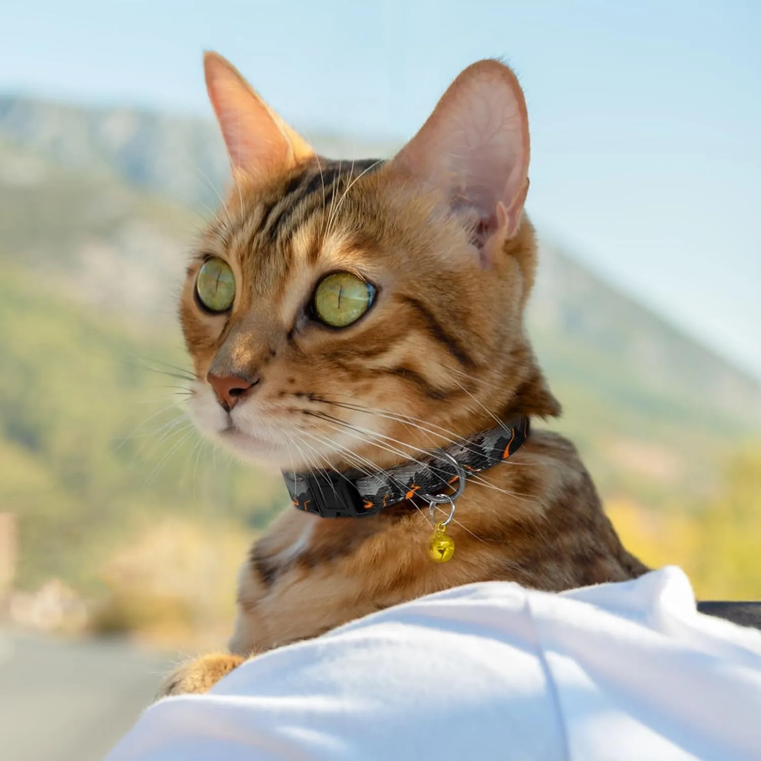 4PCS Breakaway Cat Collars with Bell, Cute Kitty Adjustable Safe Kitten Collars, 4-Pack, Nylon Pet Collars Travel Aztec Ice Cream Europe Print (Colorful)