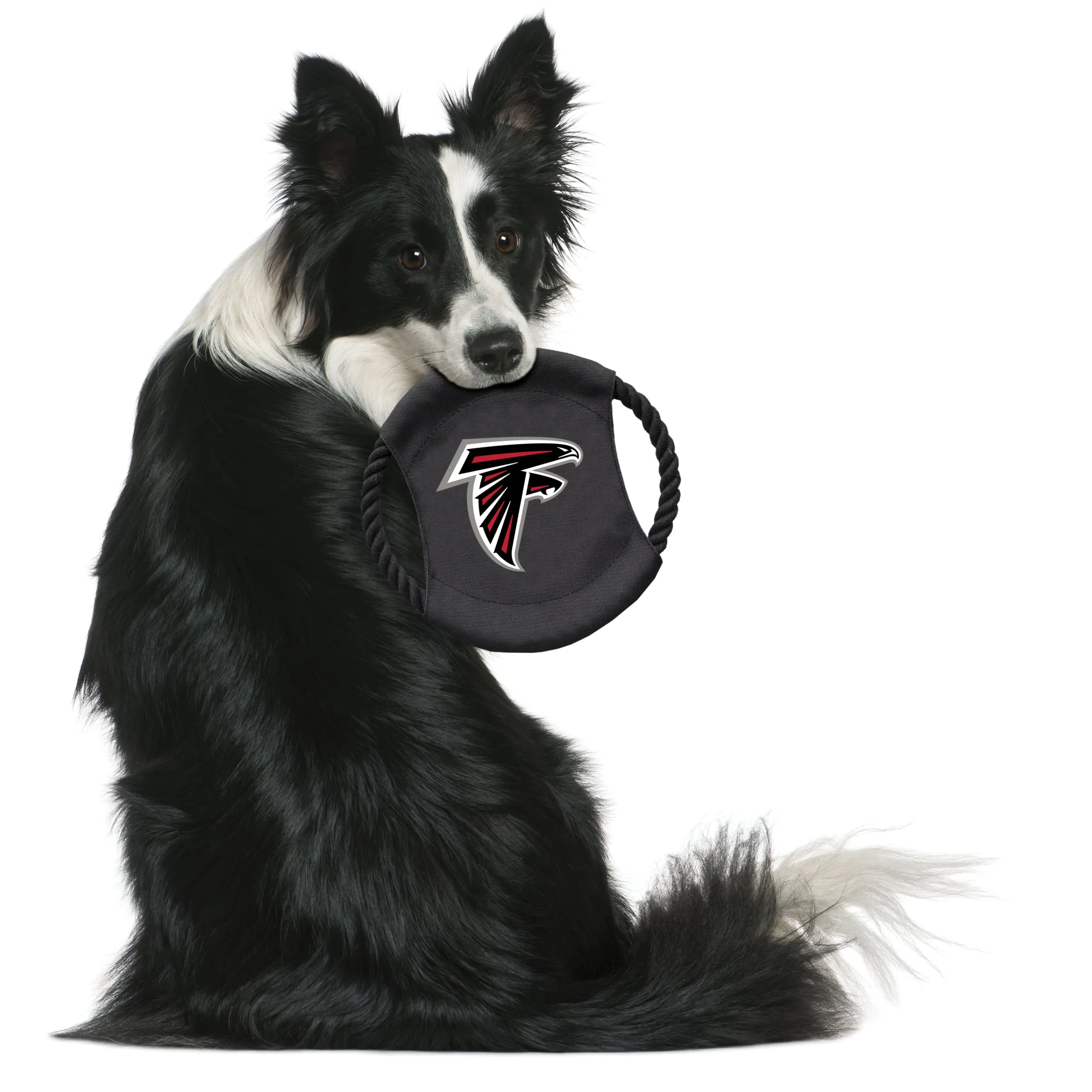 Atlanta Falcons Team Flying Disc Pet Toy