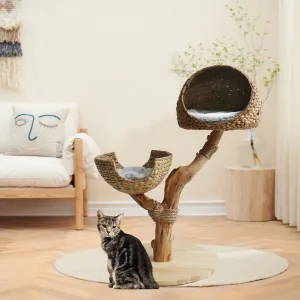 Back to Nature The Duo Cat Scratch Tree