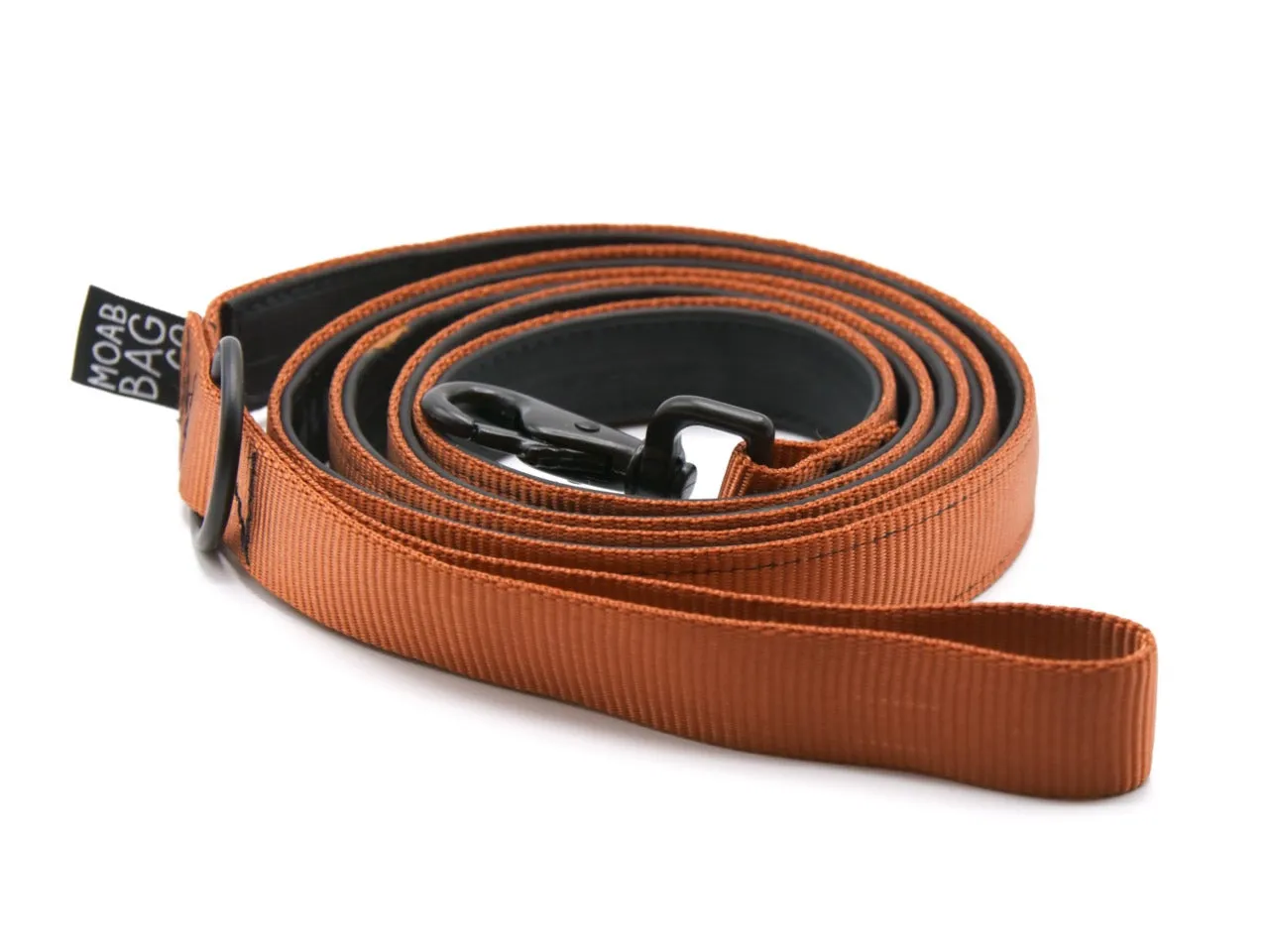 Bike Tube Dog Leash