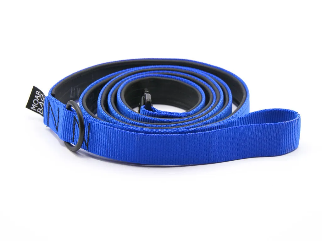 Bike Tube Dog Leash