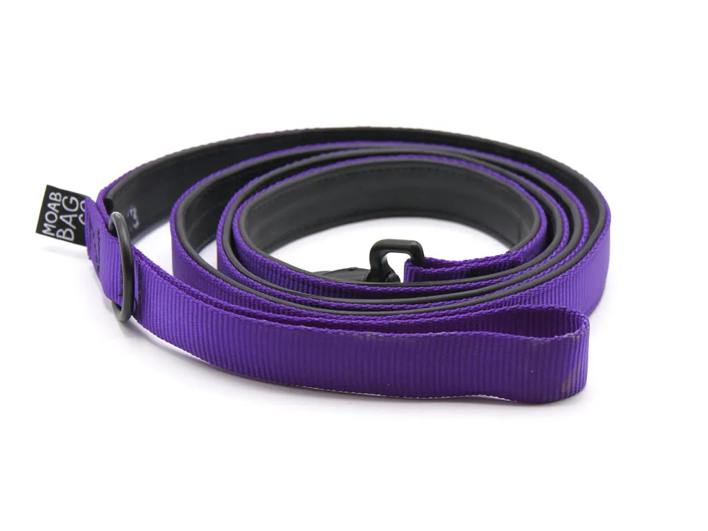 Bike Tube Dog Leash