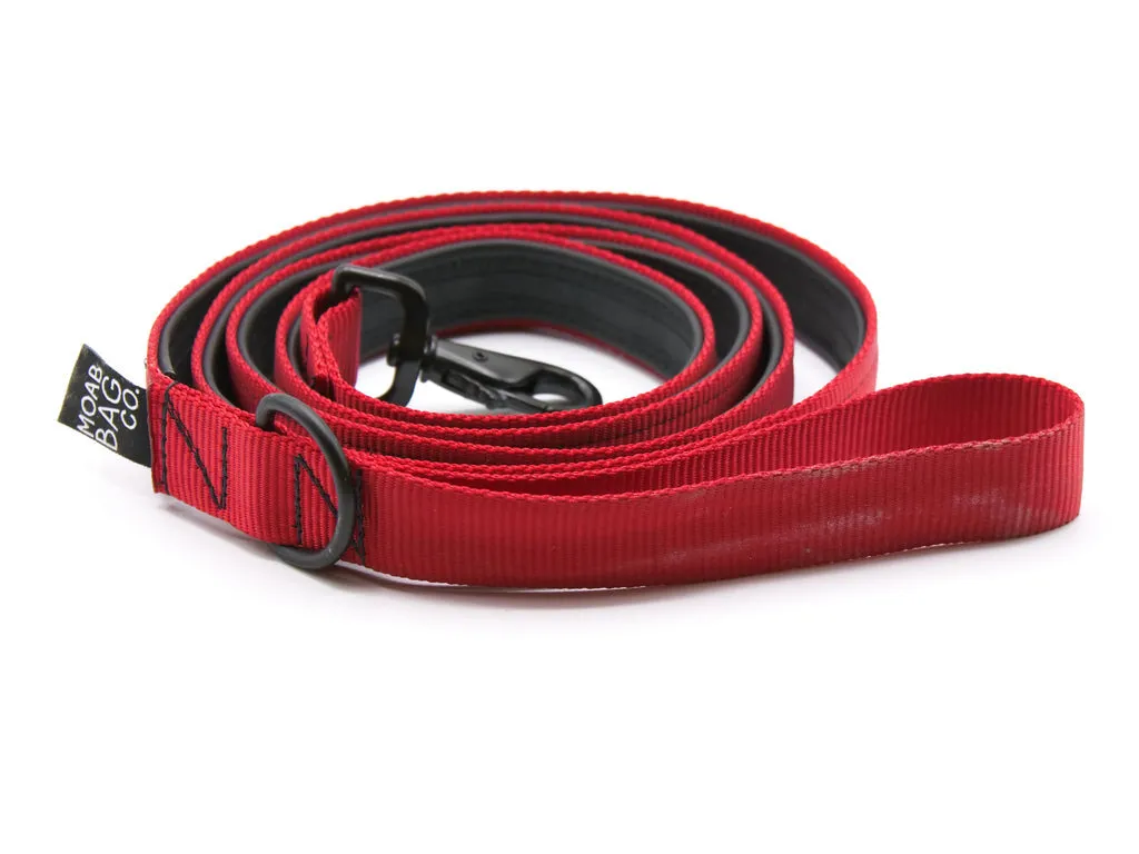 Bike Tube Dog Leash