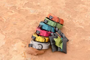 Bike Tube Dog Leash