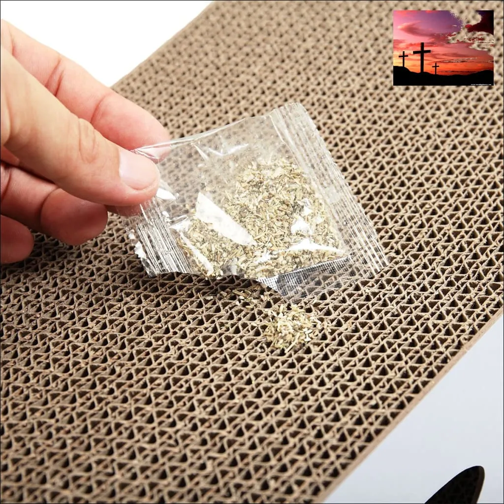 Cat-eyed Cat Scratcher and Lounge, Protect Furniture, Functional, Original Wood Color