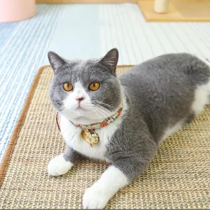 Cat Scratcher Mat for Indoor Cats, Natural Sisal Cat Scratch Blanket with Tapes, Cat Floor Corner Scratching Pad, Cat Furniture Couch Carpets Protector (M (23.6 x 15.7 Inch) / 1 Pack)