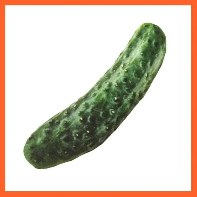 Chewy Bites Toy For Dogs | Artificial Meat Chew Toys For Dogs