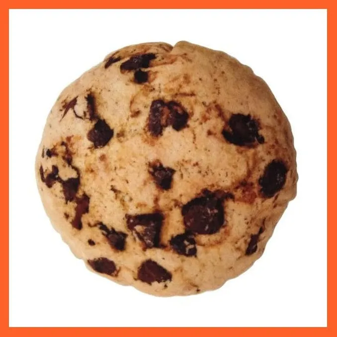 Chewy Bites Toy For Dogs | Artificial Meat Chew Toys For Dogs