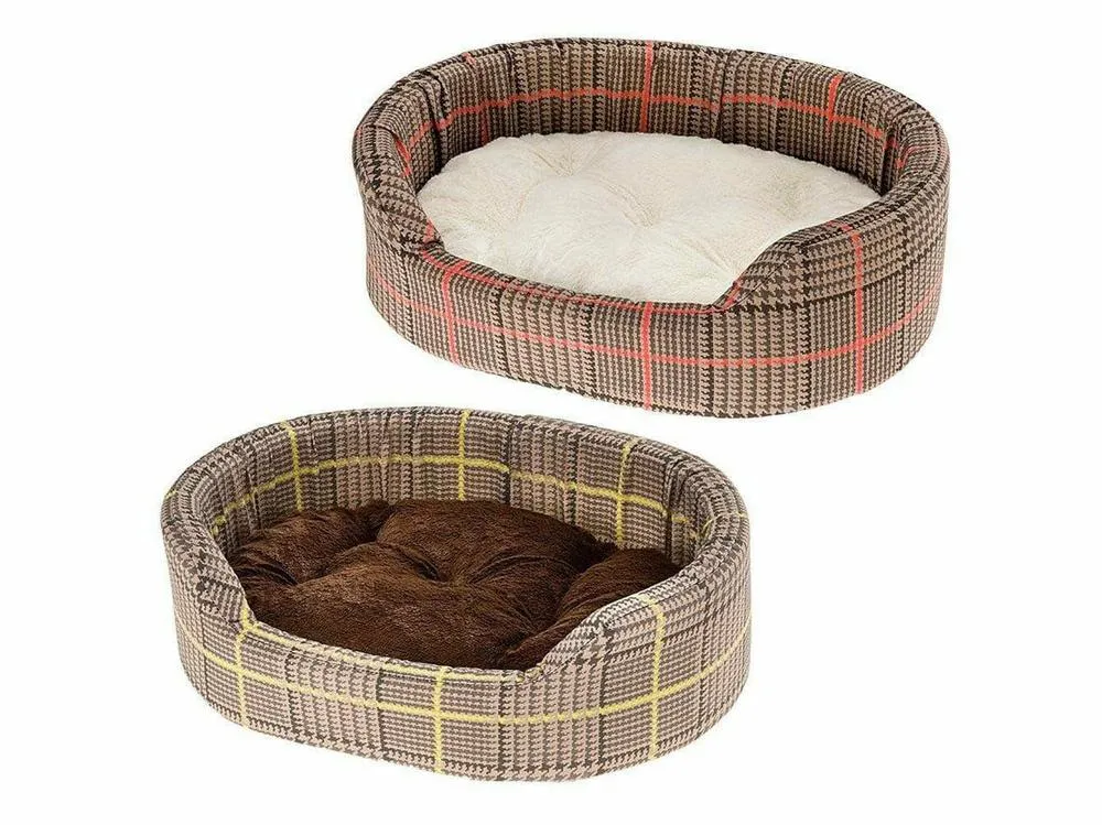 DANDY 65 P C. GALLES GREEN-RED