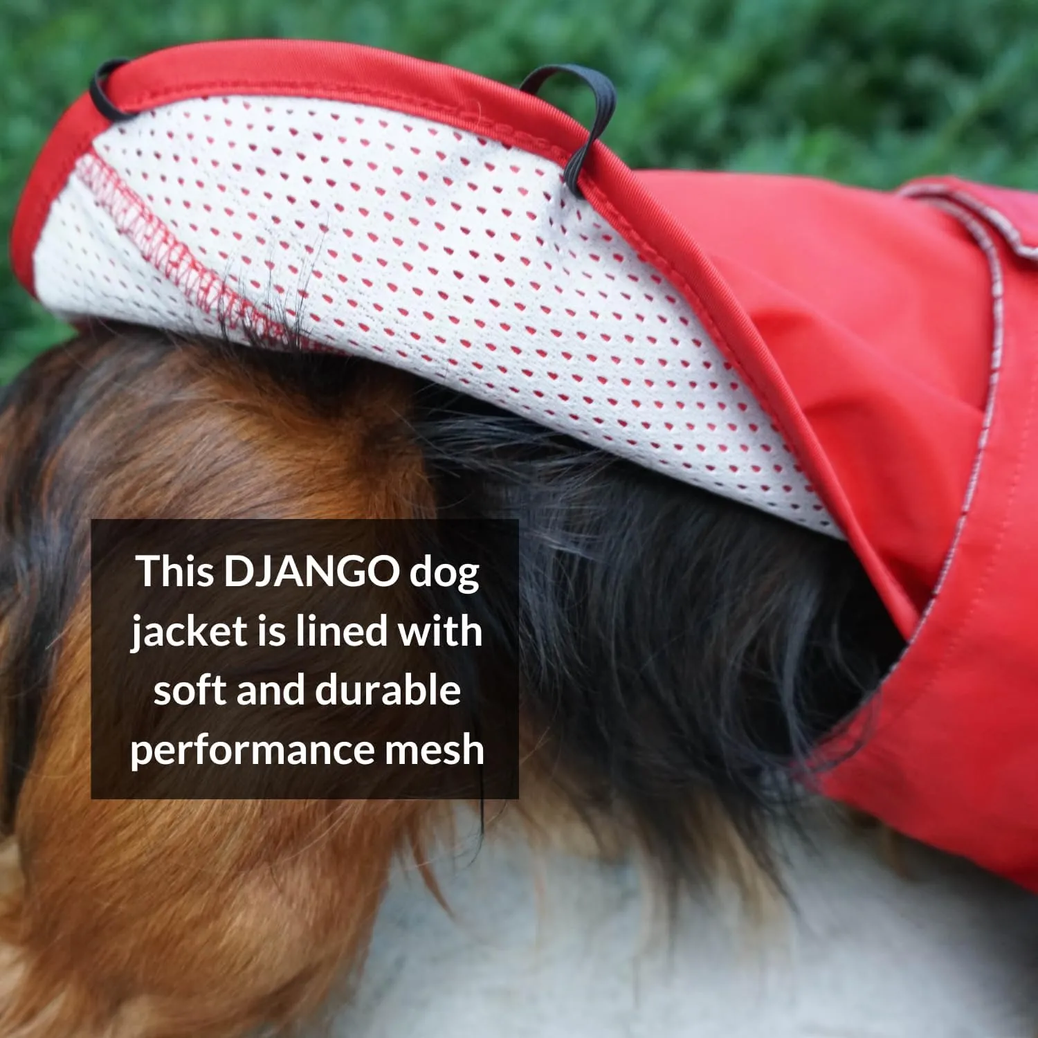 DJANGO City Slicker Waterproof Dog Raincoat and Lightweight Jacket for Long Dogs - Full Coverage Puppy Coat and Reflective Rain Slicker and Windbreaker - Adjustable with Harness Hole (Red, Large)