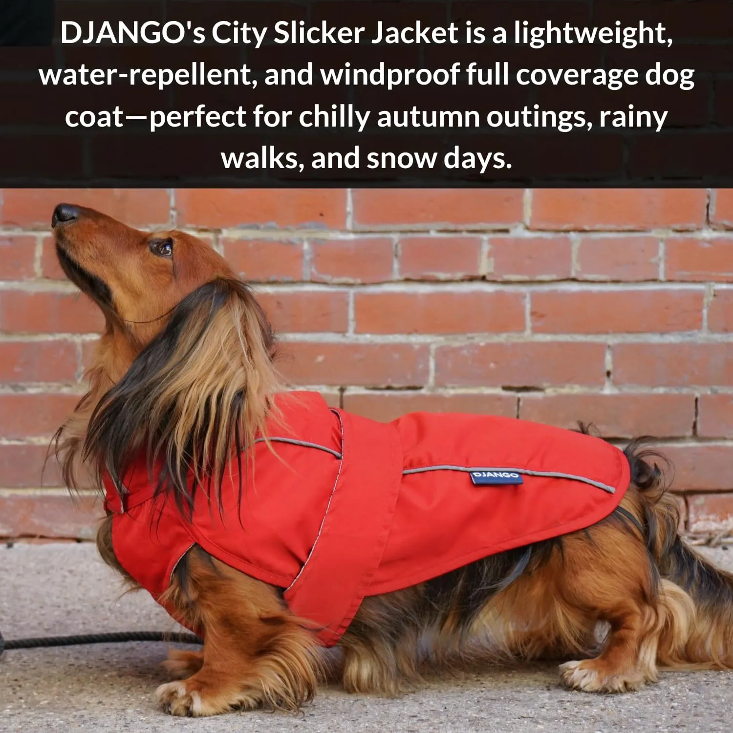 DJANGO City Slicker Waterproof Dog Raincoat and Lightweight Jacket for Long Dogs - Full Coverage Puppy Coat and Reflective Rain Slicker and Windbreaker - Adjustable with Harness Hole (Red, Large)
