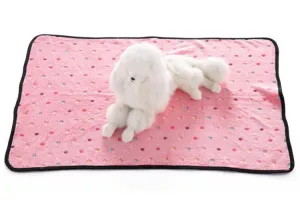 Dog Blanket