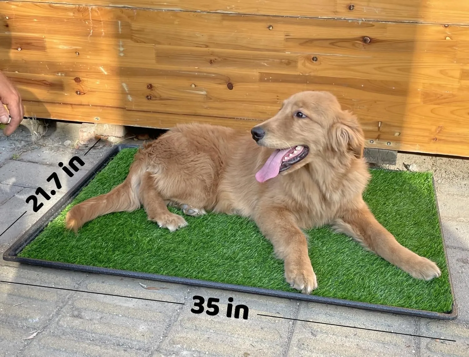 Dog Grass Pad with Tray: 2-Pack Fake Grass, 35 x 21.7 in, Ideal for Medium & Large Dogs - Perfect for Indoor Use, Potty Training
