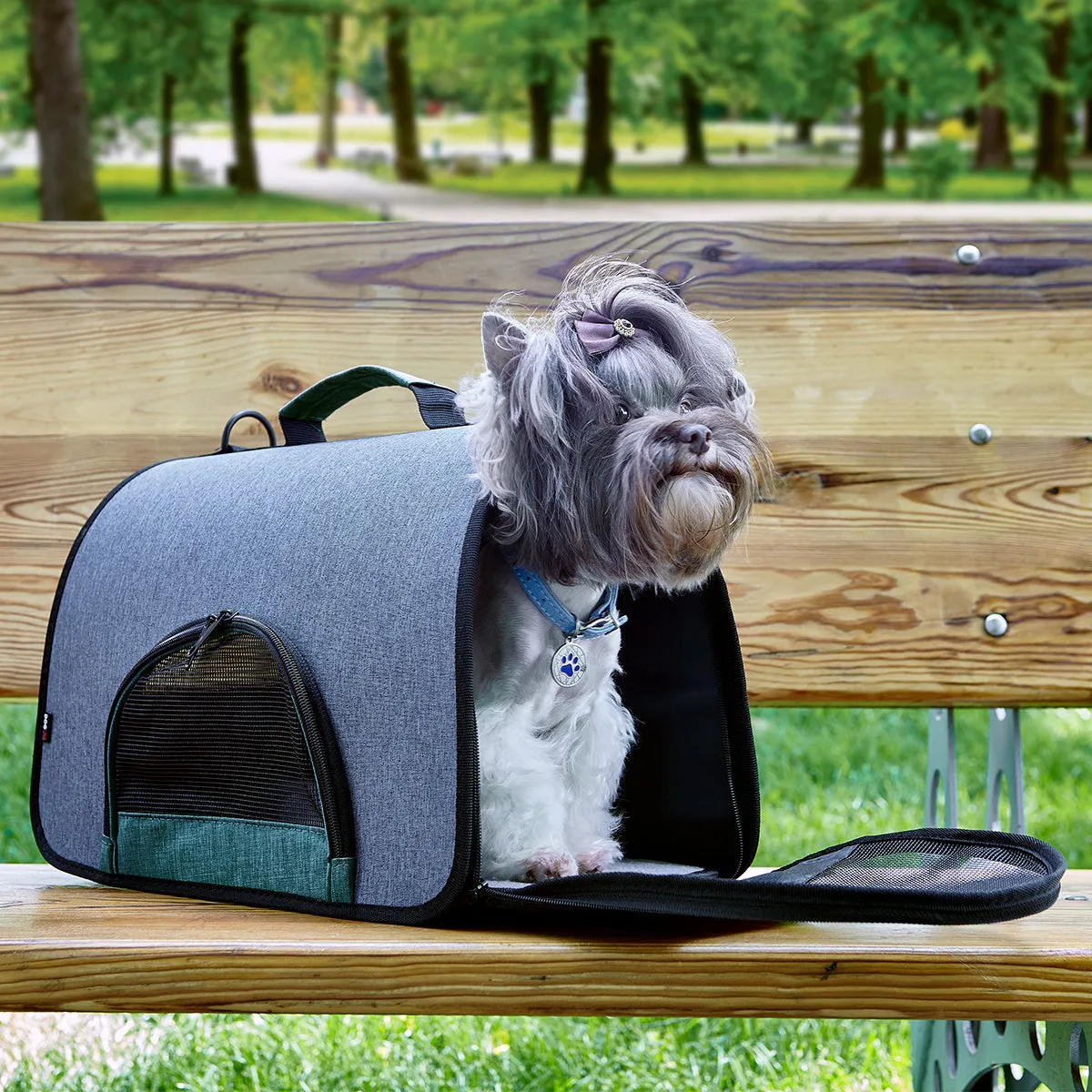 Dual Color Collapsible Pet Carrier