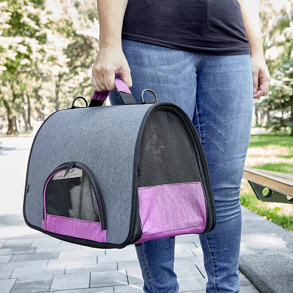 Dual Color Collapsible Pet Carrier