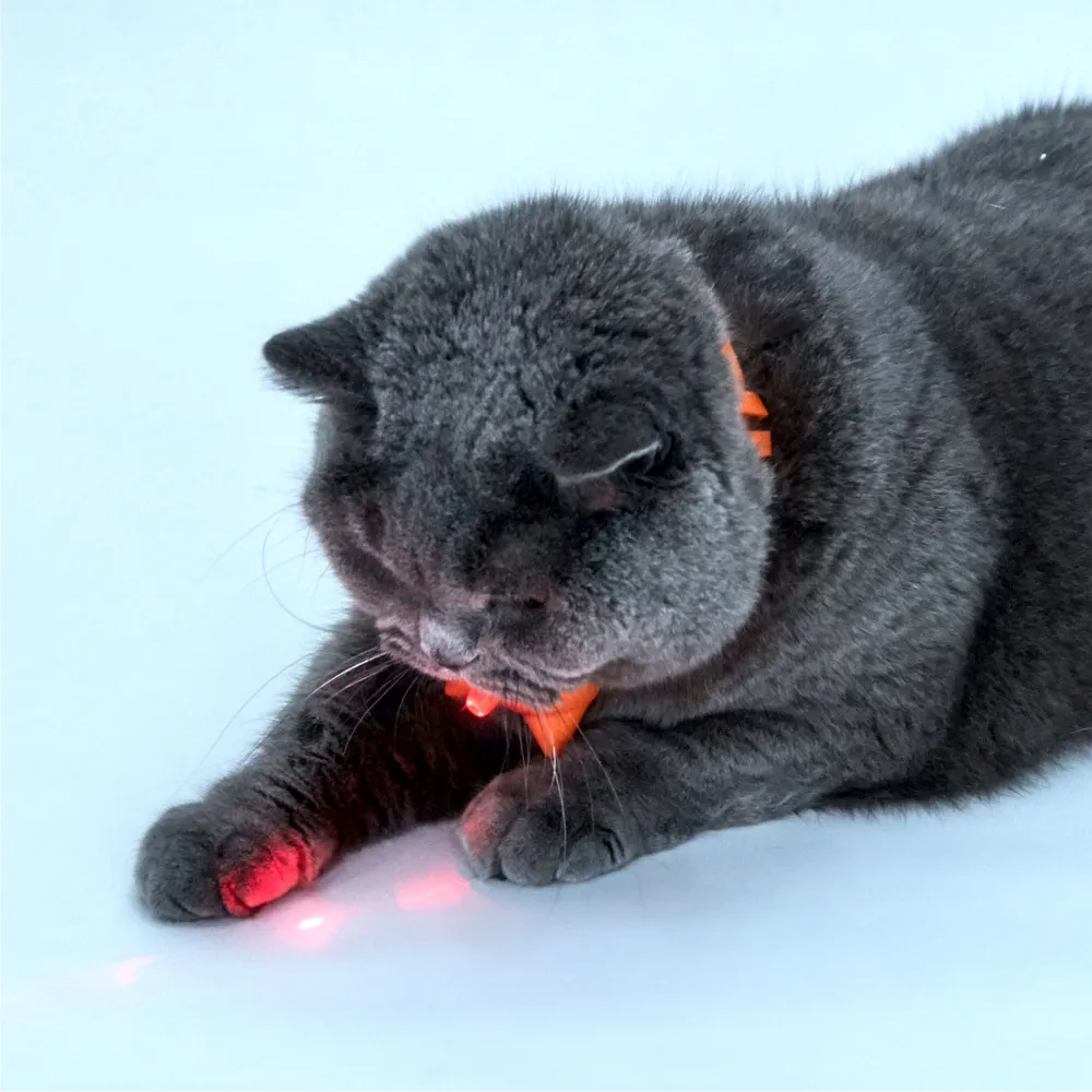 FOFOS Rechargeable Laser Collar Smart Toy for Cats