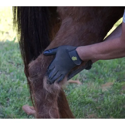 HandsOn® Grooming Gloves