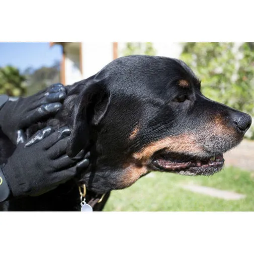 HandsOn® Grooming Gloves