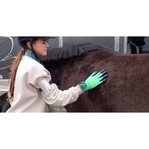 HandsOn® Grooming Gloves