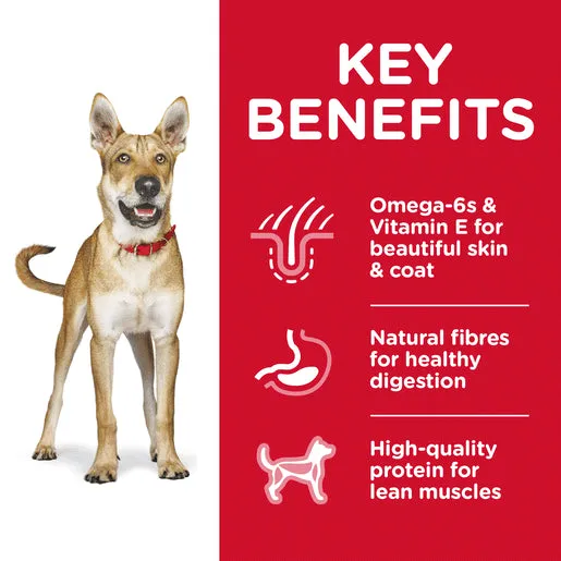 Hill’s Science Diet – Adult Dog (1-6)