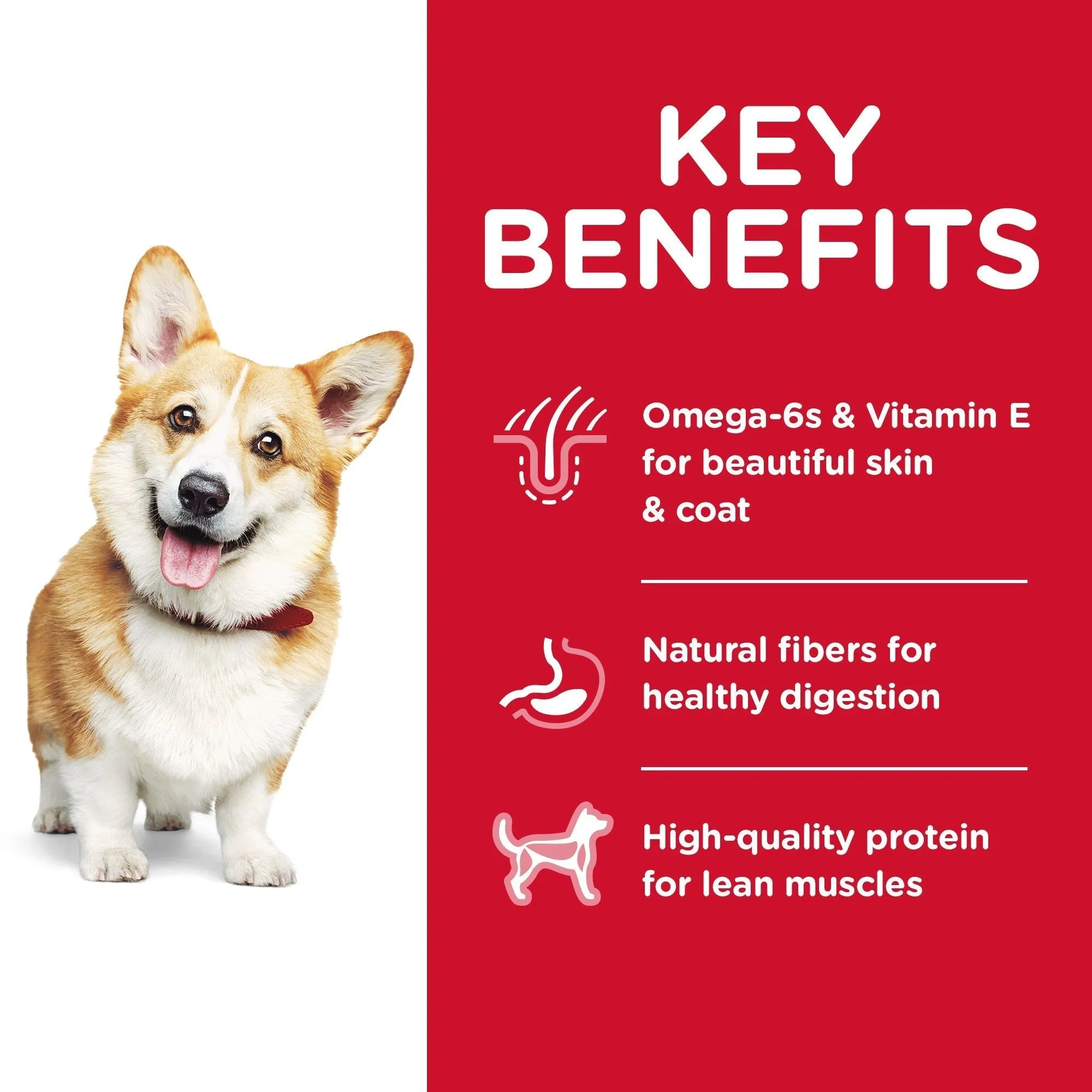 Hills Science Diet Adult Small Bites Dry Dog Food 6.8kg^^^