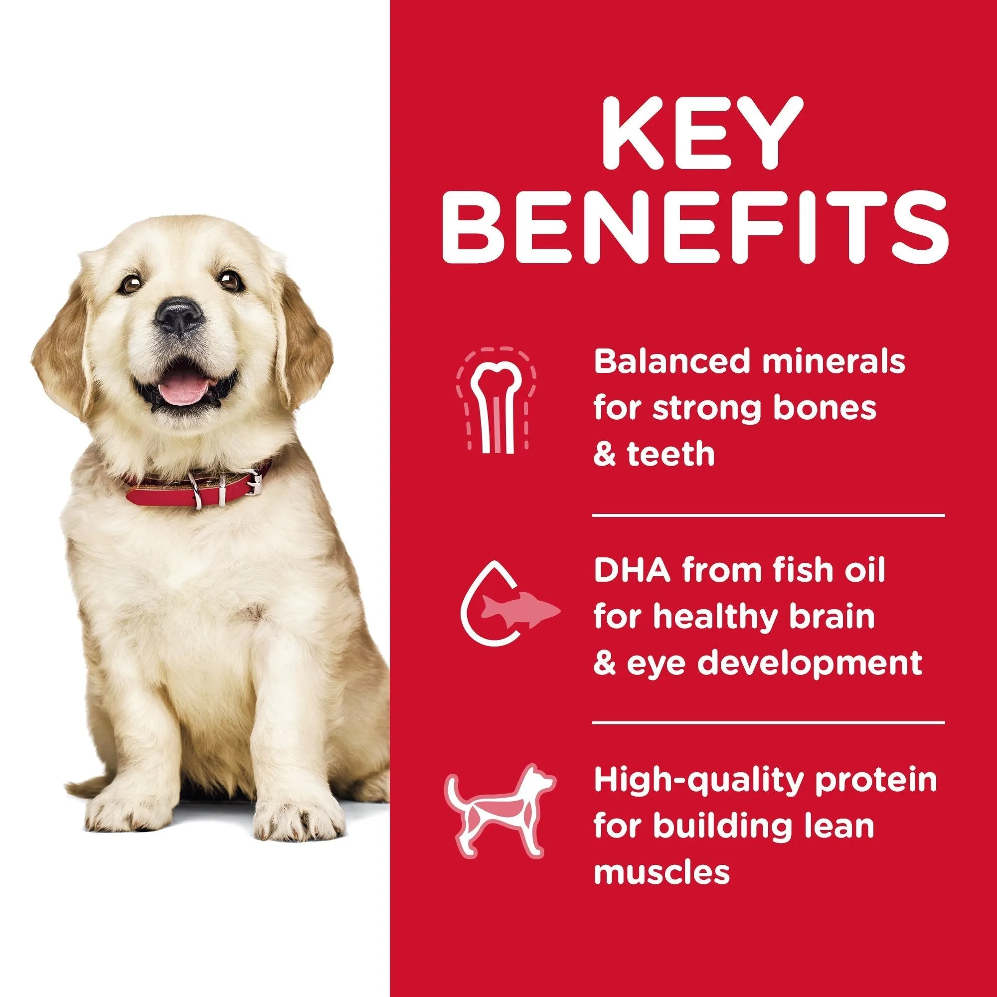 Hills Science Diet Puppy Large Breed Dry Dog Food 3kg