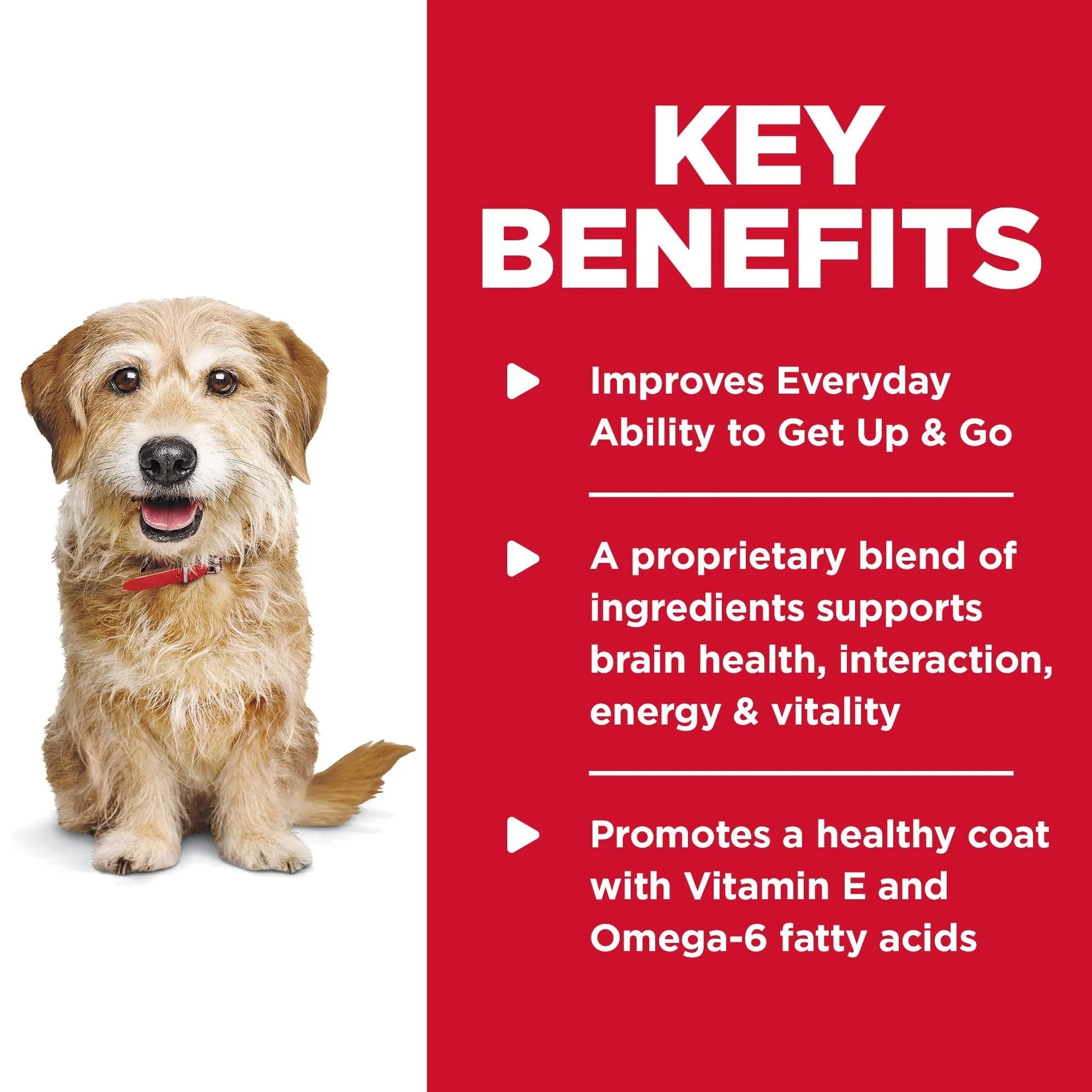 Hills Science Diet Senior Vitality Small and Mini Adult 7  Dry Dog Food 1.58kg