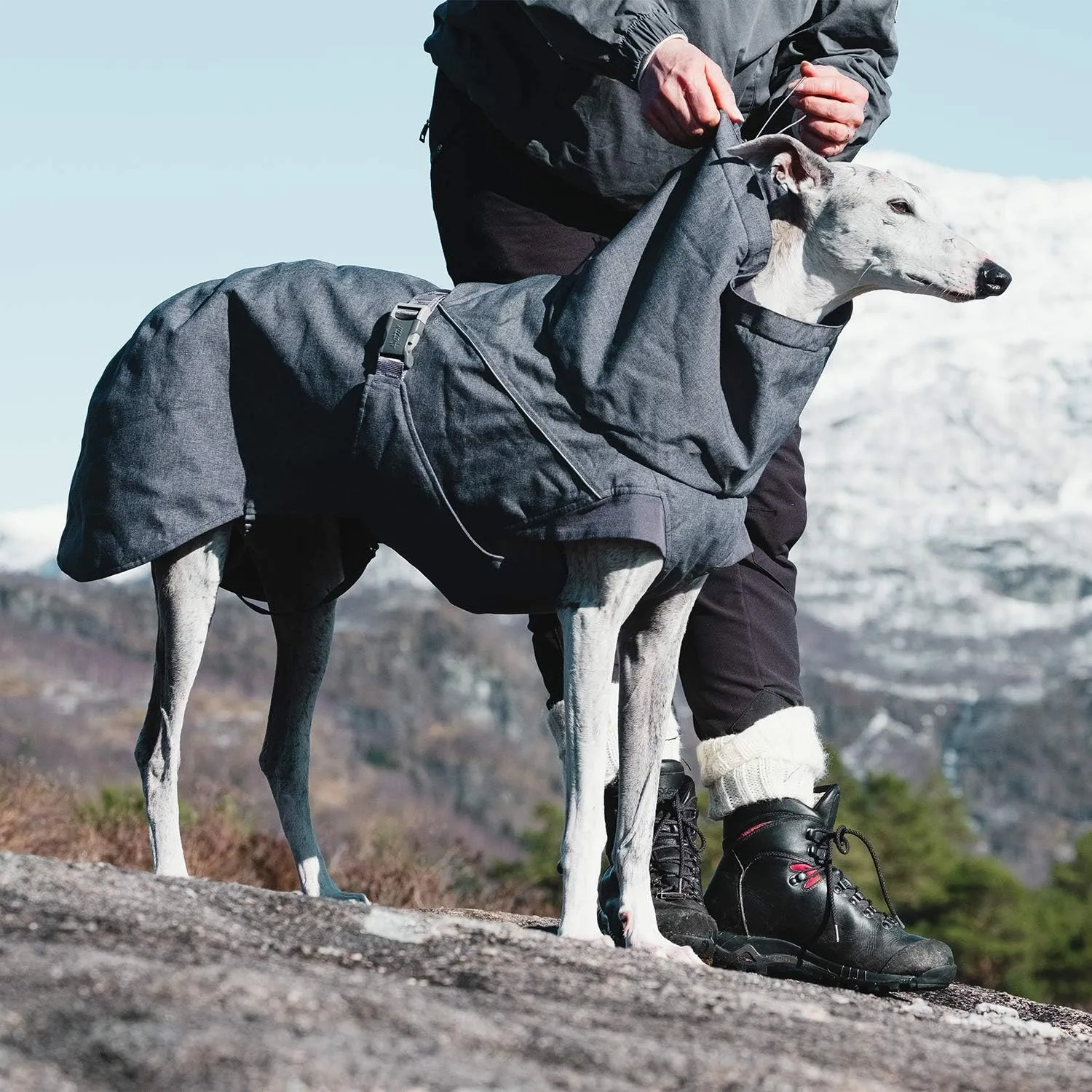 Hurtta Expedition Parka, Winter Dog Coat, BlackBerry, 16 in