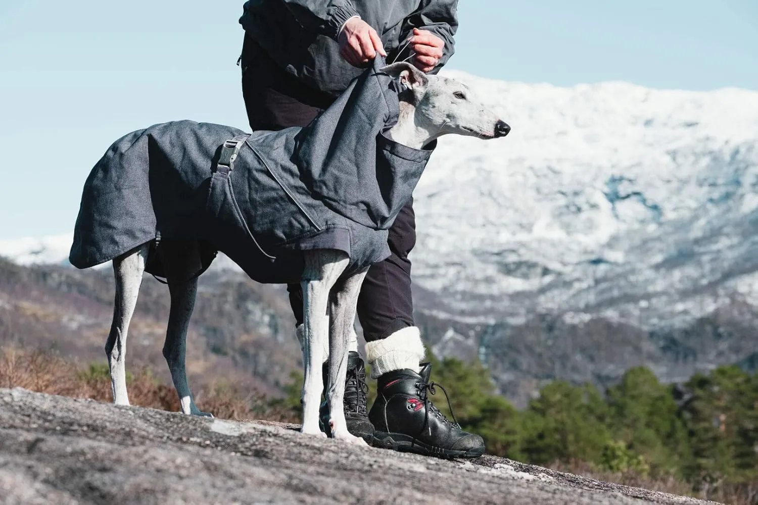 Hurtta Expedition Parka, Winter Dog Coat, BlackBerry, 16 in