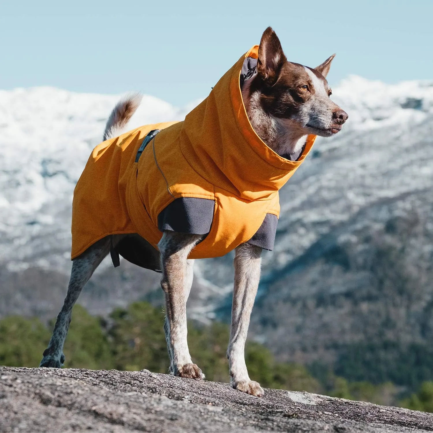 Hurtta Expedition Parka, Winter Dog Coat, Buckthorn, 16 in