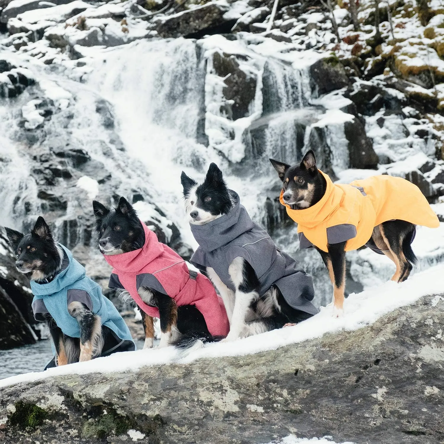 Hurtta Expedition Parka, Winter Dog Coat, Buckthorn, 16 in