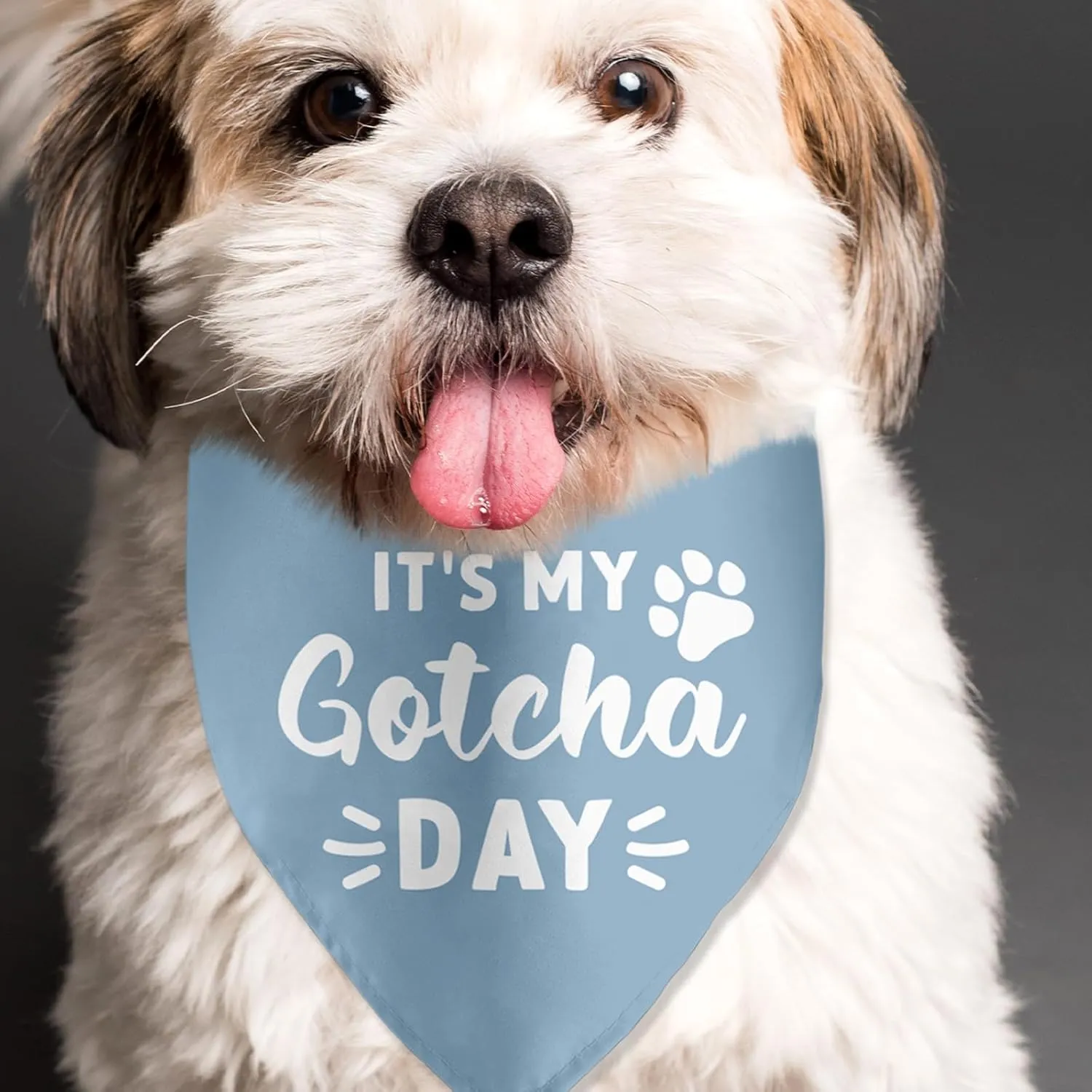 It's My Gotcha Day Blue Dog Bandana - Happy Adoption Day Pet Scarf - Accessories for Dog Lovers