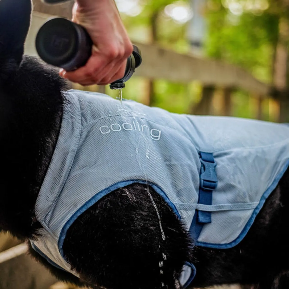 Kurgo Dog Core Cooling Vest, Cooling Jacket for Dogs, Evaporation Cooler Coat for Pets, Reflective Material, Adjustable Straps, Works with Harnesses & Collars, Heat Reflective (Medium)