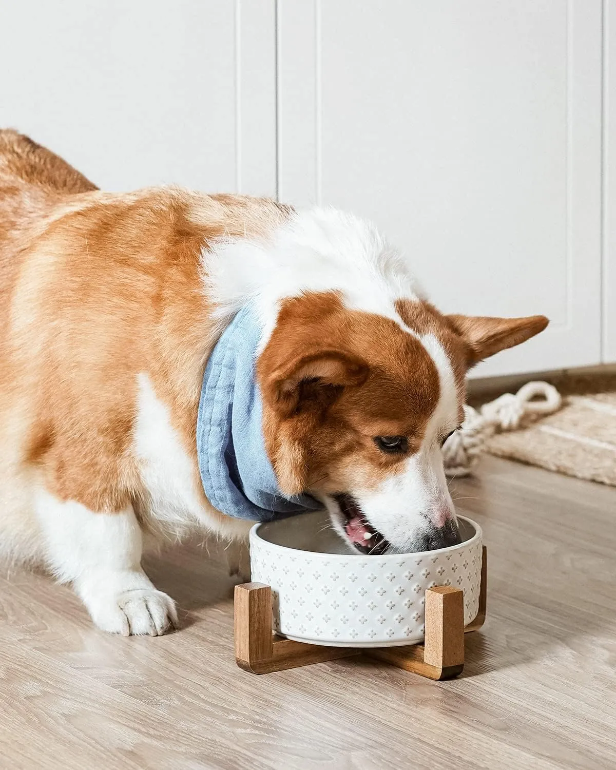 LE TAUCI Ceramic Dog Bowls for Large Dogs - 7" Elevated Water Bowl with Acacia Wood Stand, Single Pet Bowl Set for Food & Water, Clover