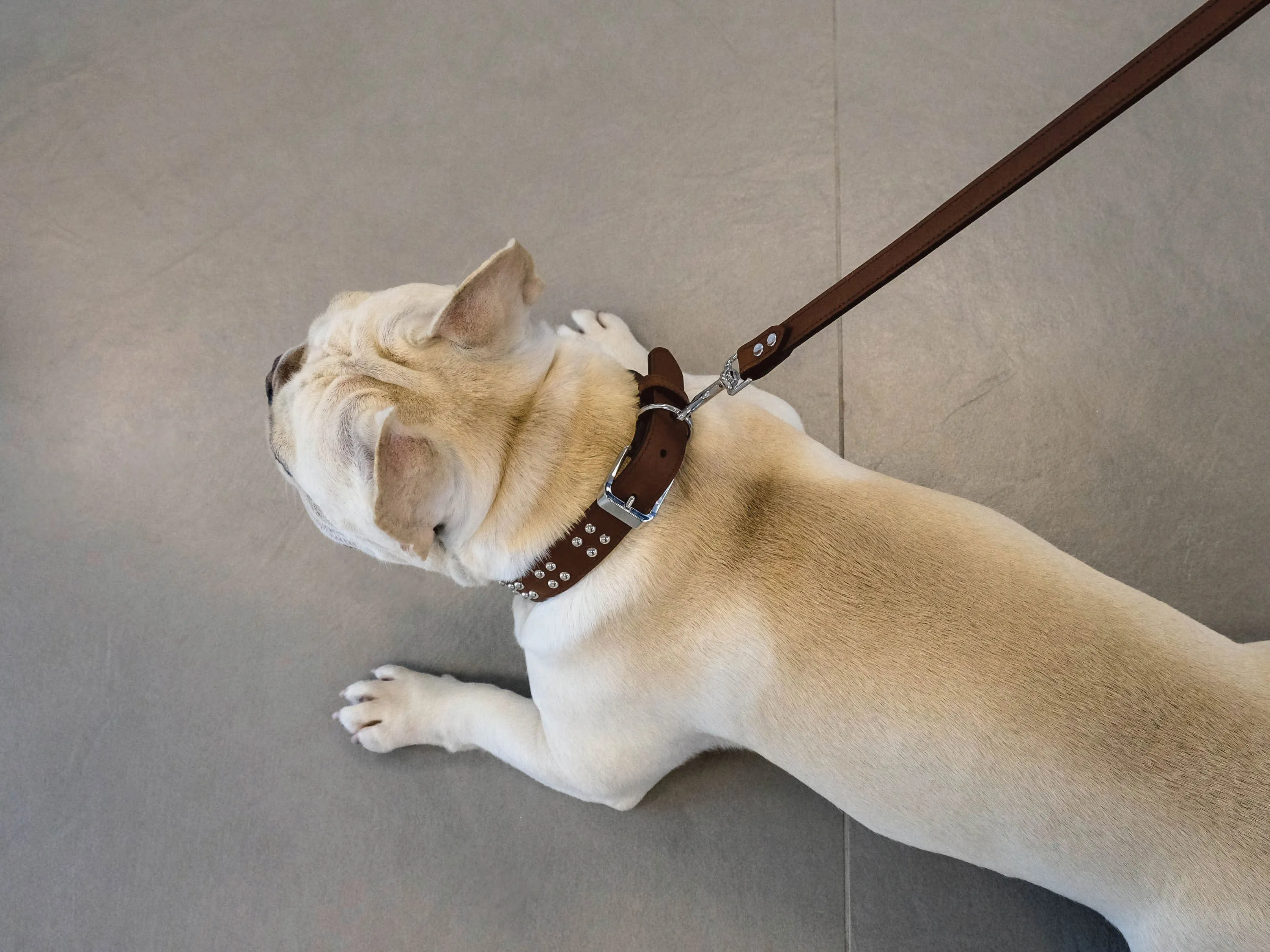 Leash Ball Studs - col. Aura Saddle