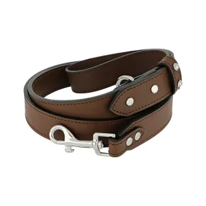 Leash Ball Studs - col. Aura Saddle