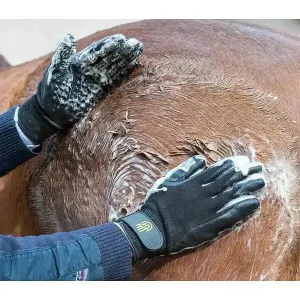 LeMieux Hands On De Shedding Grooming Gloves