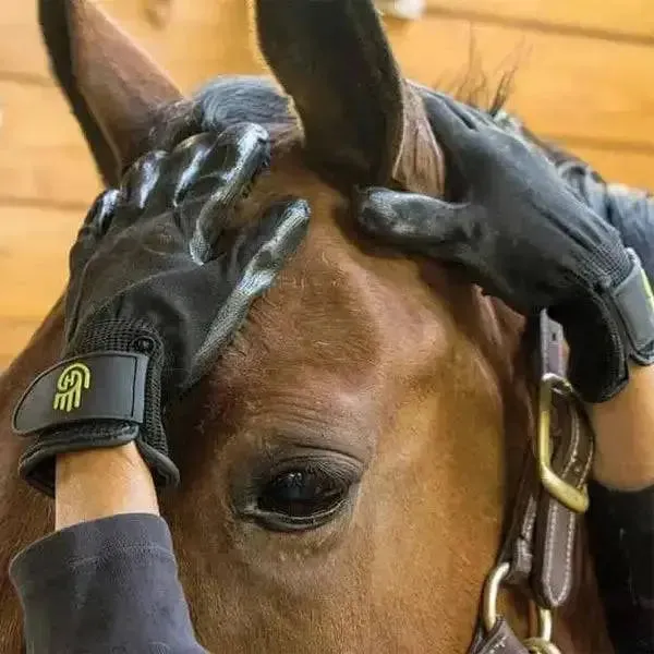 LeMieux Hands On De Shedding Grooming Gloves