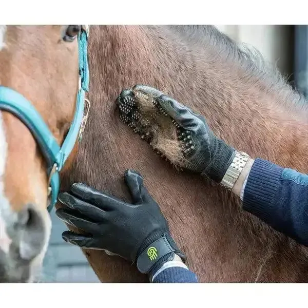 LeMieux Hands On De Shedding Grooming Gloves