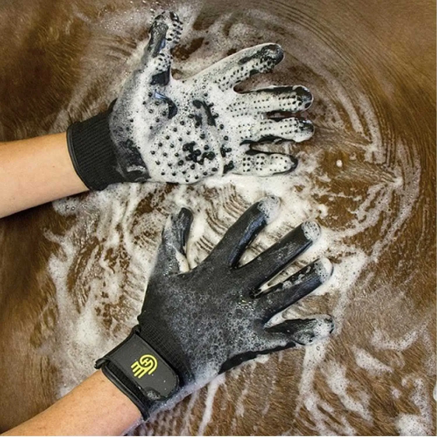 Lemieux Hands On Grooming Glove