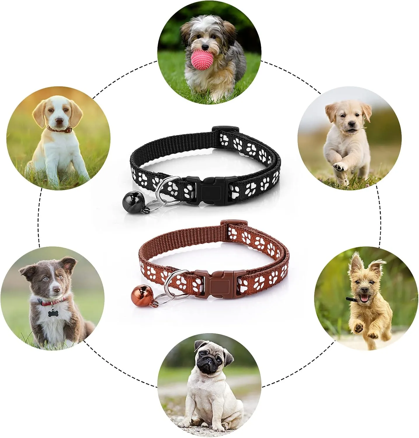 Molain Adjustable Pet Cat and Dog Collar with Leash, Durable Training Rope Quick Release Clip Buckle Collar for Small Puppies and Kittens